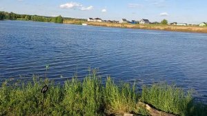 Поставил на хищника резаного леща #лещнахищника #fishing #рыбалка