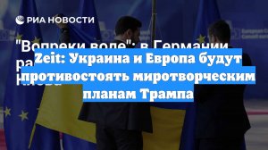 Zeit: Украина и Европа будут противостоять миротворческим планам Трампа