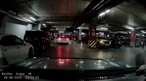 Argus 4K DUAL    парковка