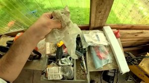 Страусы любят купаться ! Обработал деревья химией ! ХУТОР В ЛЕСУ №765