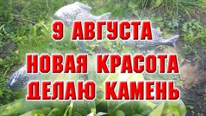 9 августа. Новая красота в саду. Делаю камень