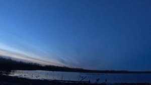 Лучшая зорька 2021 года Часть 2 / охота на гуся / красивые налеты / Саха Якутия