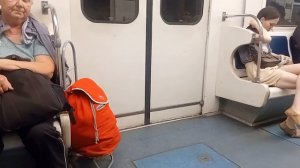 Поездка на метро из Проспекта просвещения до Пионерской