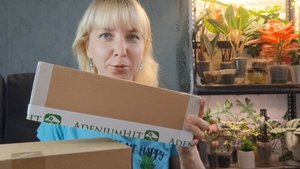 Распаковка покупок с Озон, прислали не то растение(((