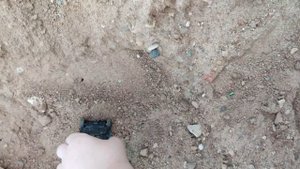 премьера канал мульт и лапки лайф 20.12.2017