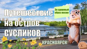 ПРОГУЛКА ПО ОТСТРОВУ СУСЛИКОВ (ТАТЫШЕВ) В КРАСНОЯРСКЕ. ТРАССА ЗДОРОВЬЯ. КРАСИВЫЙ ЛАНДШАФТ