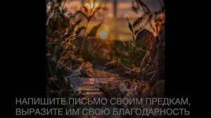 Письмо предкам