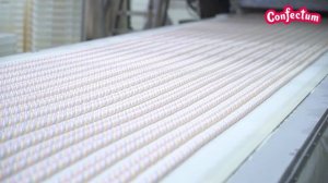 Confectum - самый мощный производитель маршмеллоу!
