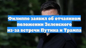 Филиппо заявил об отчаянном положении Зеленского из-за встречи Путина и Трампа