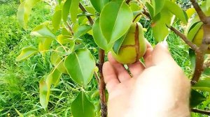 Проблема пересорта с которой я столкнулся - часть 1