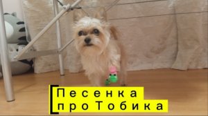 Тобик - милый друг