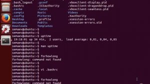 LPIC 105.1 часть вторая.  Bash функции и псевдонимы