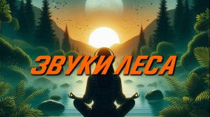 Прогулка по лесу в наушниках