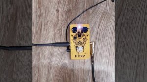 Caline CP-46 Fuzzy Bear