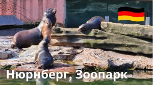 Нюрнбергский зоопарк, Германия — место, которое нельзя пропустить
