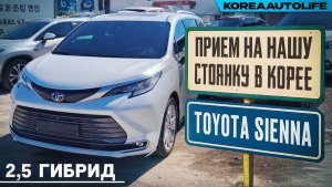 Прием Toyota Sienna 2,5 гибрид на нашу стоянку в Корее
