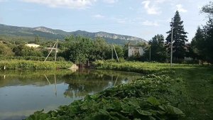 Псебай
