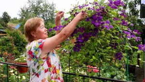 Цветочное увлечение