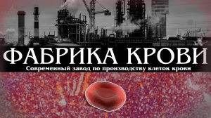 Что такое костный мозг и почему он так важен? 🤯