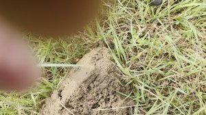 фишер ф 75 нашёл  монету