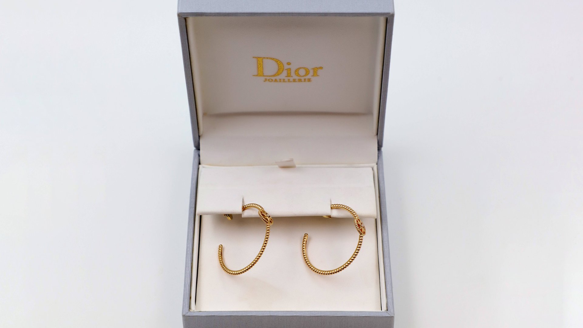 Серьги Dior Rose Des Vents Hoop Earrings смотреть онлайн