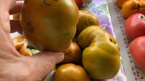 IMG_8842 Собрала для добычи семян.