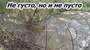 Рыбалка на вершу