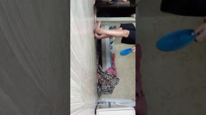 занимаюсь с собакой