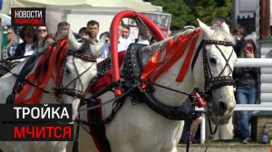 Чемпионат «Крылатое сердце России» прошёл в Горках-10 // 360 Одинцово