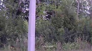 Фокус-покус. А вам слабо так на скорости 30 км/ч?