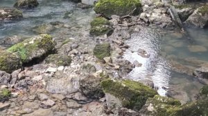 Урок 8.1. Природа маски Matte и примеры использования