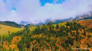 #Коран#АльАнфал#СамыеКрасивыеМеста#Relaxation##Islam#Quran#AlAnfal#Minshawiy #4кВидео#13часть#