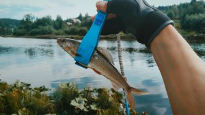 Ловля хариуса на спиннинг. Оторвался по хариусу