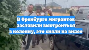 В Оренбурге мигрантов заставили выстроиться в колонну, это сняли на видео
