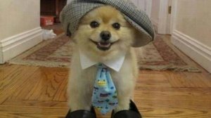 Работник Года