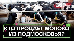 Бизнес на молоке: как построить эффективное животноводческое производство