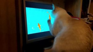 "Компьютер у нас один. Играть будем по очереди. Я – первая".