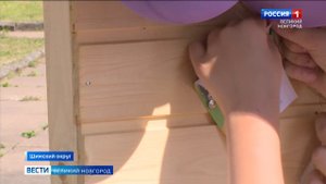 ГТРК СЛАВИЯ День посёлка Шимск 2025  11.08.25