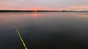 Сколько рыбы можно поймать за 1.5 часа \ 06.08.2025