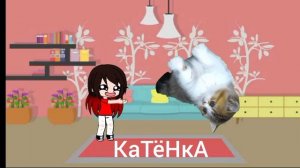 хочу котёнка 🐱