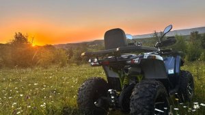 Дорога домой