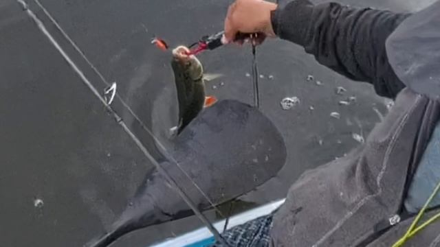 рыбалка сап.mp4