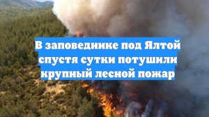 В заповеднике под Ялтой спустя сутки потушили крупный лесной пожар