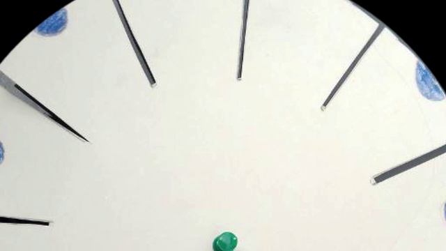 Мастер-класс по фенакистископу в саду Мариинского дворца 29 июня 2024 года