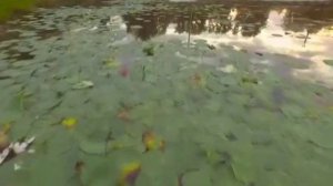 Вид Ивановского храма в Амурской области.