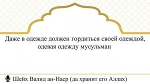 376) Не подчиняйся неверующим и лицемерам, не люби их, подражая и уподобляясь им I Шейх Валид