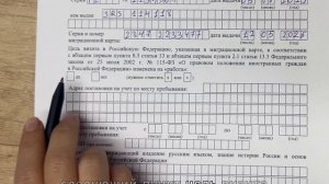 Как заполнить заявление на патент для осуществления трудовой деятельности///@rahmat_helpbot