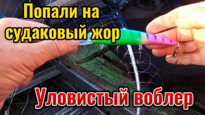 Судак берёт приманку не переставая. Рыба начала ловиться в самом конце июля. Испытали новую рыбку.