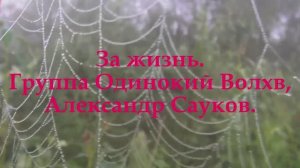 За жизнь (Премьера клипа 2025 г.)