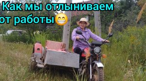 Урожай чеснока 🧄нас не порадовал
